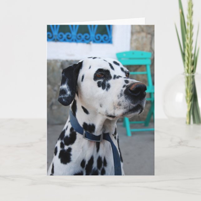 Dalmatien Kort (Framsida)