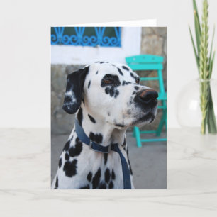 Dalmatien Kort