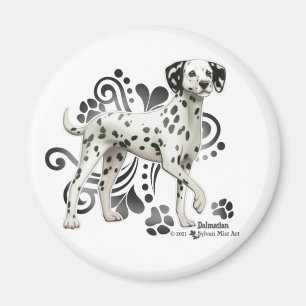 Dalmatien Magnet