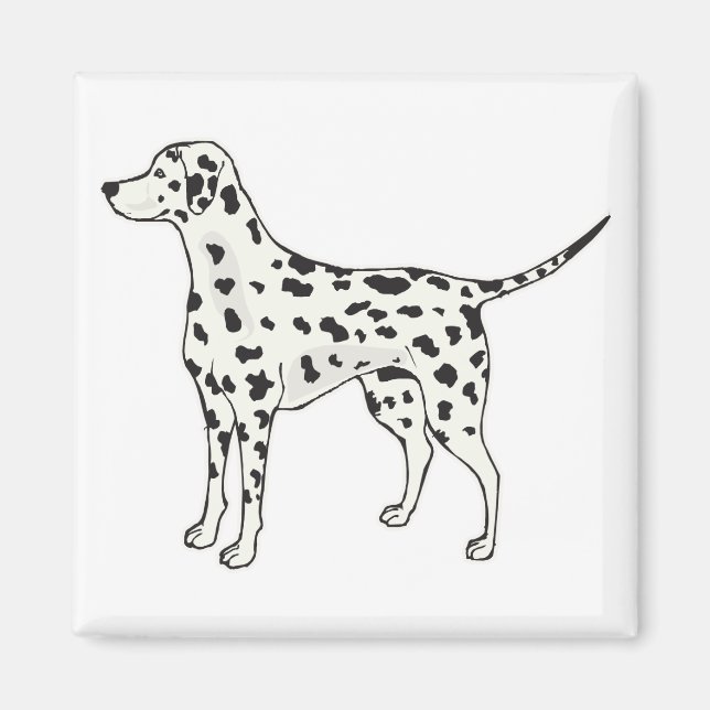 Dalmatien Magnet (Framsidan)