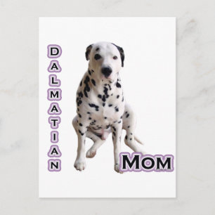 Dalmatien Mamma 4 Vykort