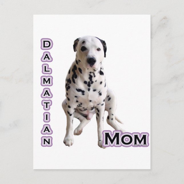 Dalmatien Mamma 4 Vykort (Framsida)