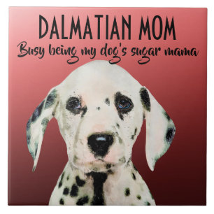 Dalmatien Mamma Ceramic Tile Kakelplatta