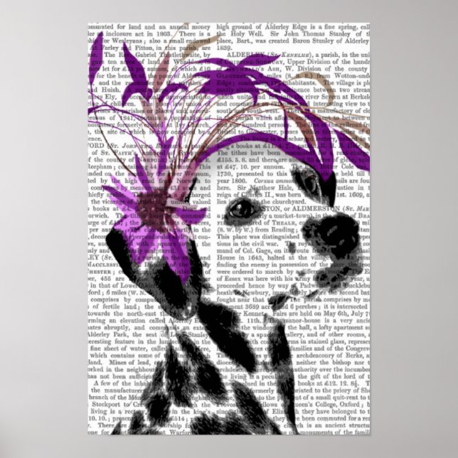Dalmatien med Lila Fascinator Poster (Framsidan)