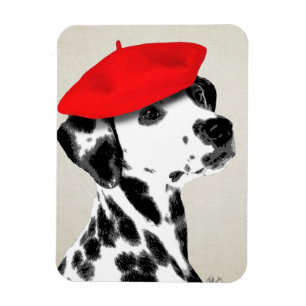 Dalmatien med Red Beret Magnet