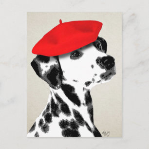 Dalmatien med Red Beret Vykort