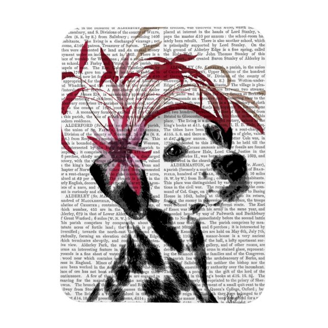 Dalmatien med röd fascinator magnet (Vertikal)