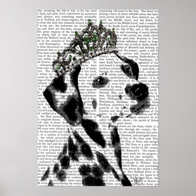 Dalmatien med tiara poster (Framsidan)