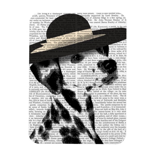 Dalmatien och Brimmed Black Hat Magnet (Vertikal)