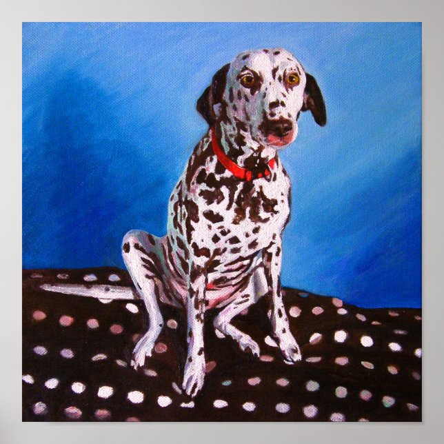 Dalmatien om kudde 2011 poster (Framsidan)