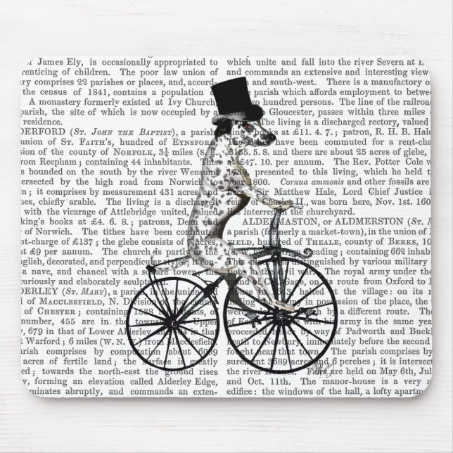 Dalmatien på cykel 2 musmatta (Framsidan)
