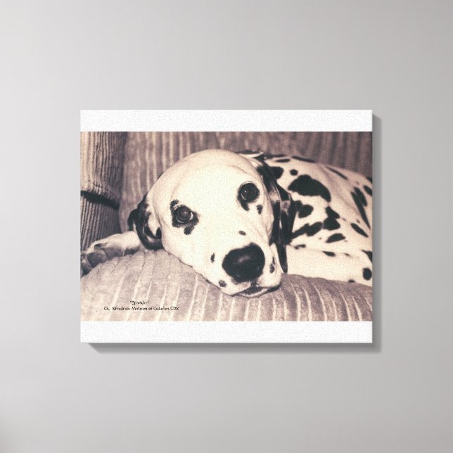 Dalmatien på en soffa - Sparkler Canvastryck (Framsida)