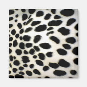 Dalmatien Päls Anpassa Struktur Black and White Magnet