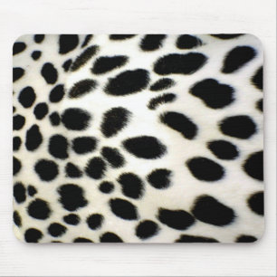 Dalmatien Päls Anpassa Struktur Black and White Musmatta