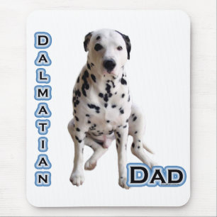 Dalmatien Pappa 4 Musmatta