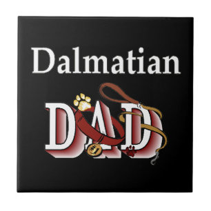 Dalmatien Pappa Kakelplatta
