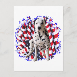 Dalmatien Patriot Vykort