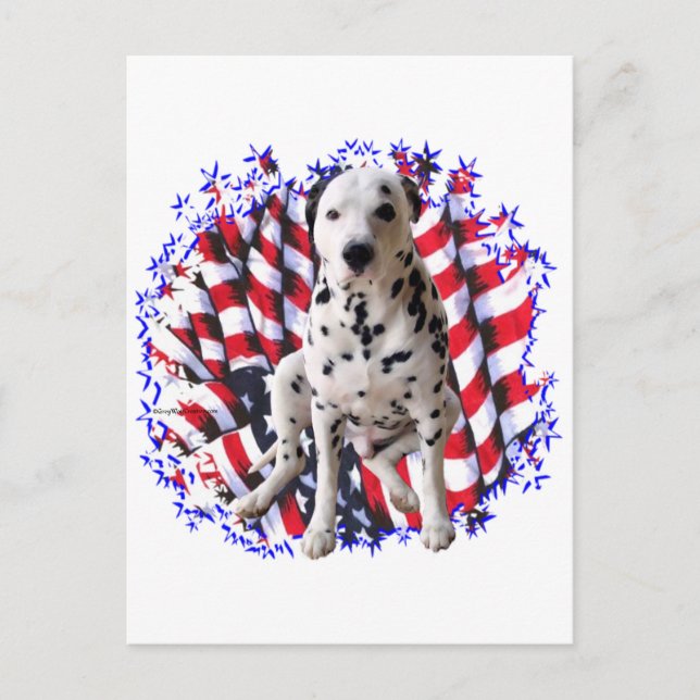 Dalmatien Patriot Vykort (Framsida)