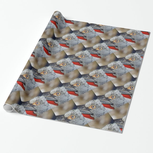 Dalmatien Pelican Presentpapper (Utrullad)