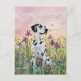 Dalmatien Postcross - vykort