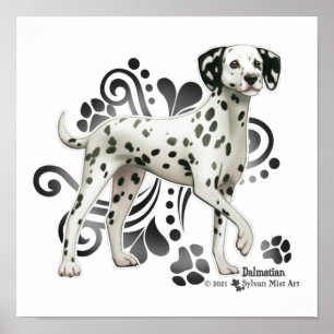 Dalmatien Poster