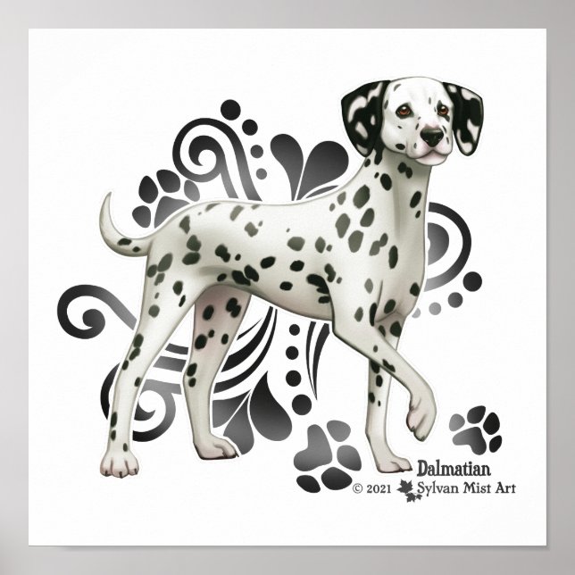 Dalmatien Poster (Framsidan)