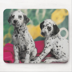 Dalmatien Puppies Mousepad Musmatta