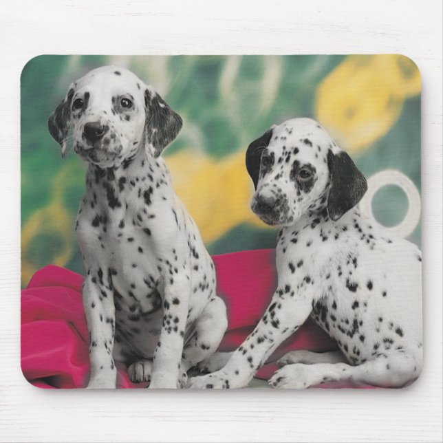 Dalmatien Puppies Mousepad Musmatta (Framsidan)