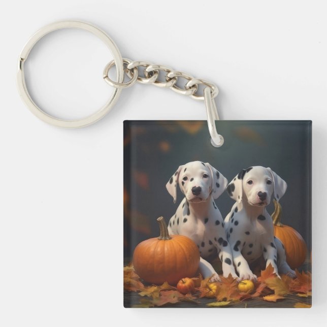 Dalmatien Puppy Autumn Delight Pumpkin (Framsidan)