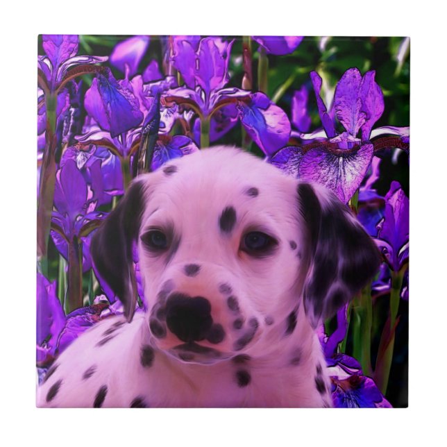 Dalmatien Puppy Hund Art Kakelplatta (Framsidan)