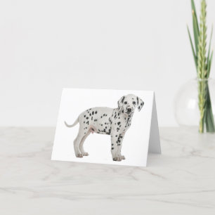 Dalmatien Puppy Hund Hej Tack Kärlek, förlåt Kort