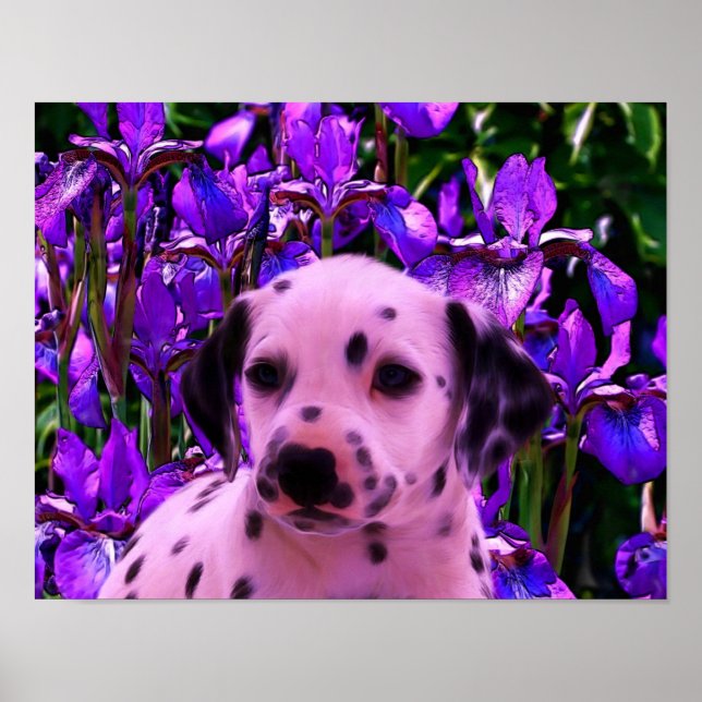 Dalmatien Puppy Iris Flowers Hund Art Poster (Framsidan)