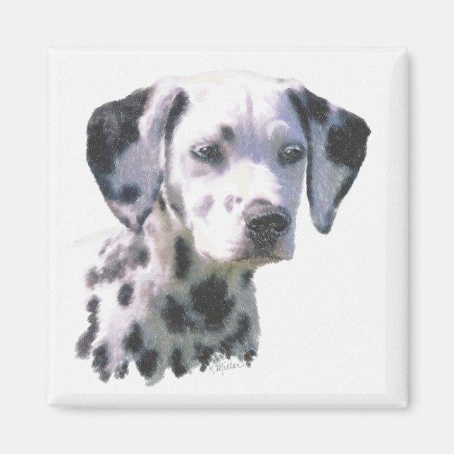 Dalmatien Puppy Magnet (Framsidan)