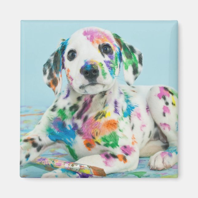 Dalmatien Puppy Magnet (Framsidan)