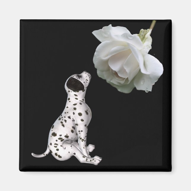 Dalmatien Puppy och Vit ros Magnet (Framsidan)