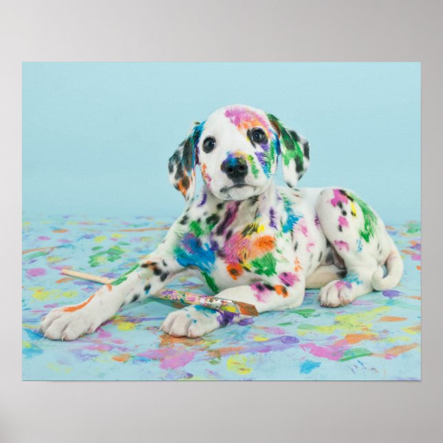 Dalmatien Puppy Poster (Framsidan)