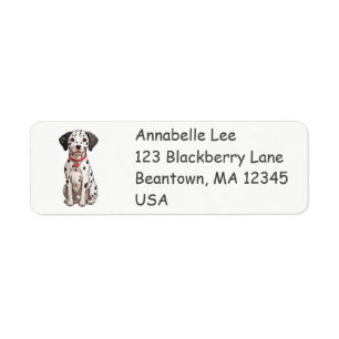 Dalmatien Puppy Returadress Etikett