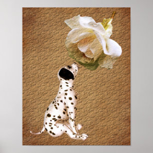 Dalmatien Puppy Ro Åldras Papper Art Poster