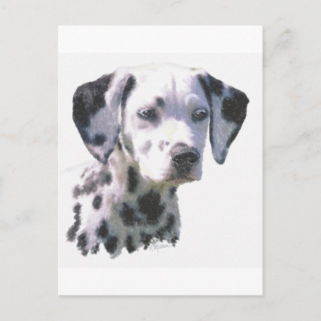 Dalmatien Puppy Vykort (Framsida)