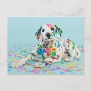 Dalmatien Puppy Vykort