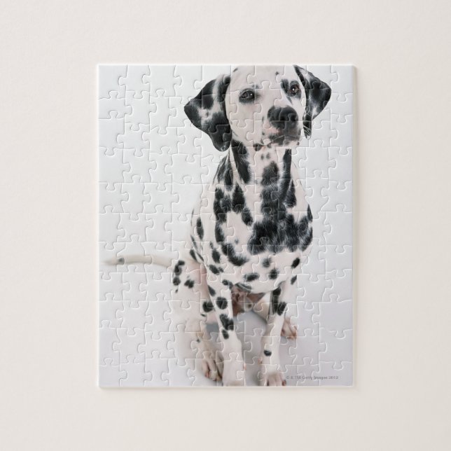 Dalmatien Pussel (Vertikal)