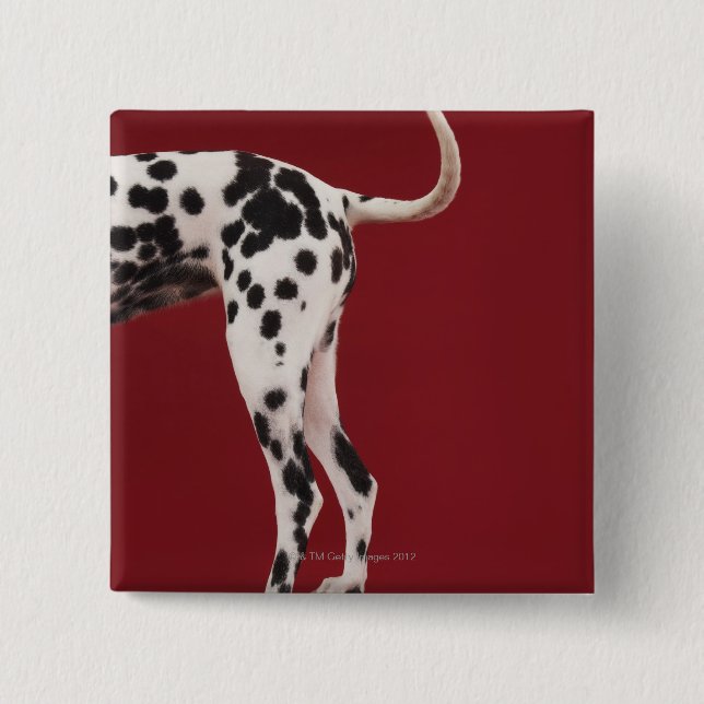 Dalmatien Rear Knapp (Framsida)