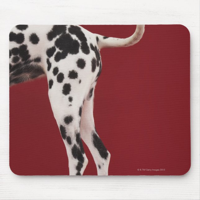 Dalmatien Rear Musmatta (Framsidan)