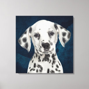 Dalmatien Stretched Kanvastryck