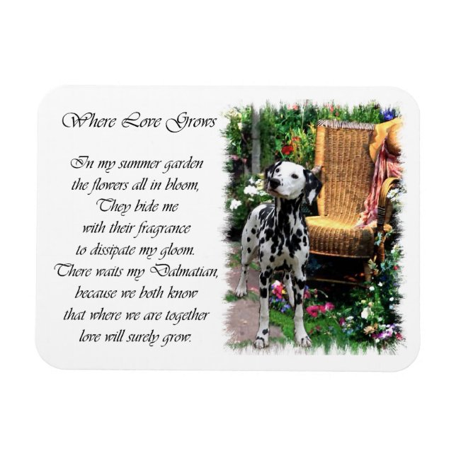 Dalmatien Summer Garden Magnet (Horisontell)