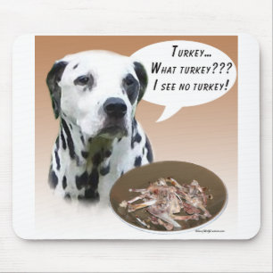 Dalmatien Turkiet Musmatta
