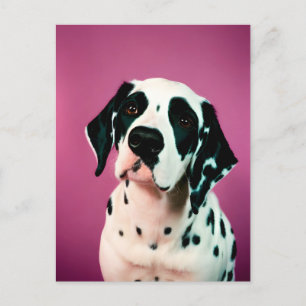 Dalmatien, vykort för postkorsning