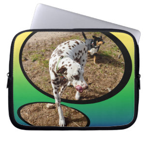 Dalmatiens avgång från Ram, Laptop Fodral