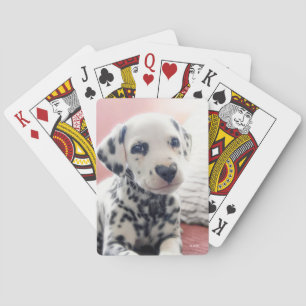 Dalmatiner Hjärt Näsa Casinokort