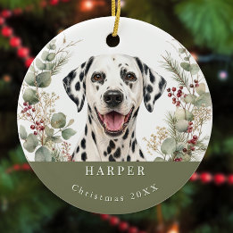 Dalmatiner Hund Bild Vattenfärg Jul Julgransprydnad Keramik